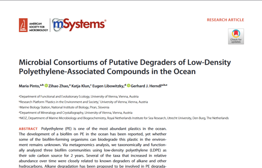Microbial Consortiums of Putative Degraders of Low-DensityPolyethylene-Associated Compounds in the Ocean