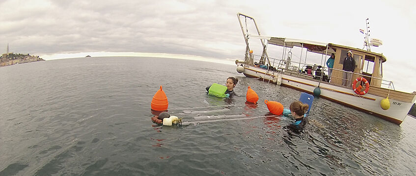 Scientists in the water doing microplastics research