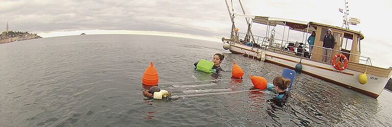 Researchers at work in the ocean